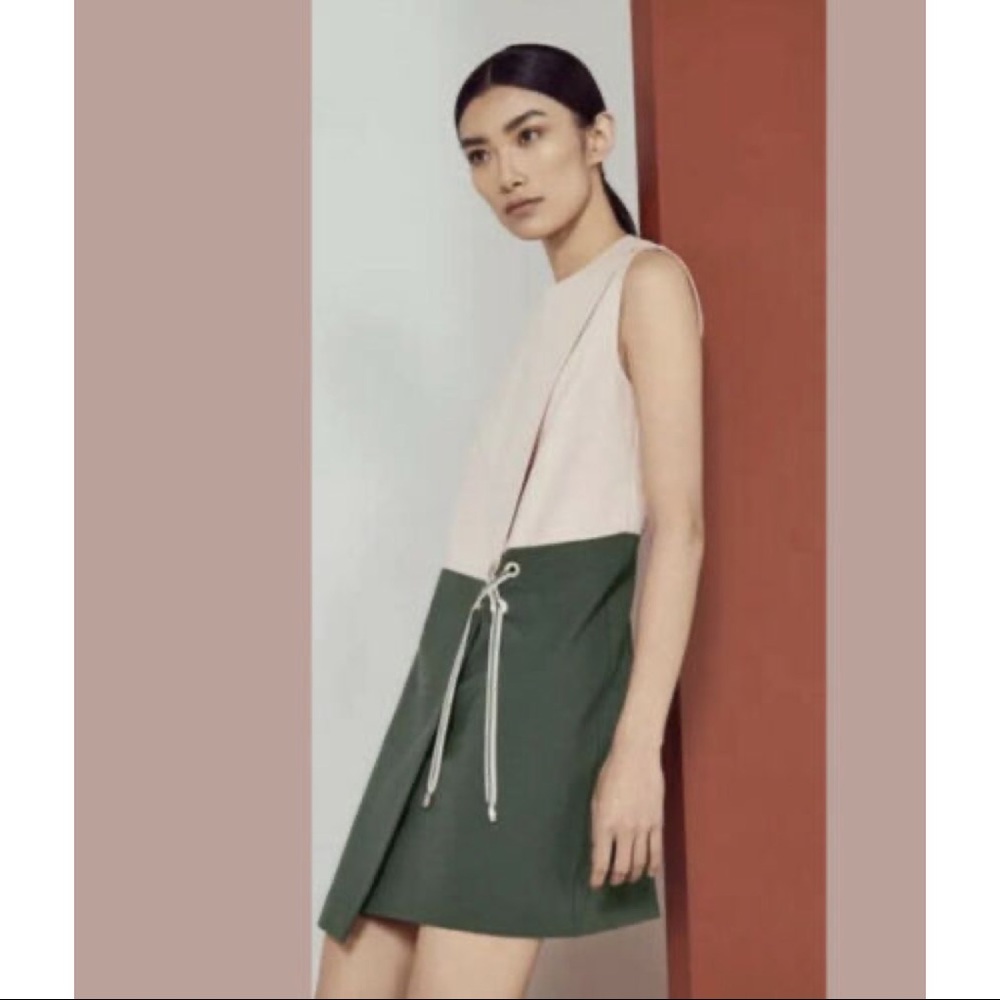 Nwot Ted Baker London Colour By Numbers Mivis Tunic Dress